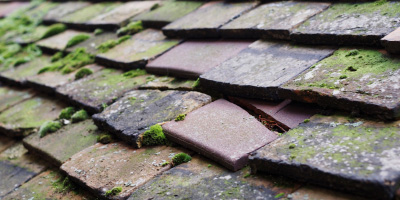 Wymeswold roof repair costs